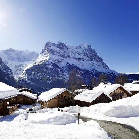 Daire Steinbilla 2 Bett Grindelwald