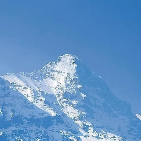 Steinbilla 2 Bett * Grindelwald